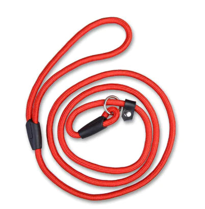 Pet Leash 1.0 for Dogs - Teddy, Bichon, Poodle