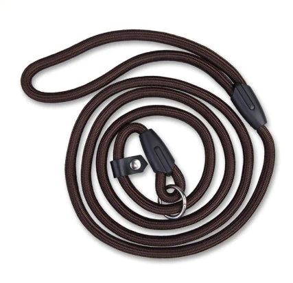 Pet Leash 1.0 for Dogs - Teddy, Bichon, Poodle